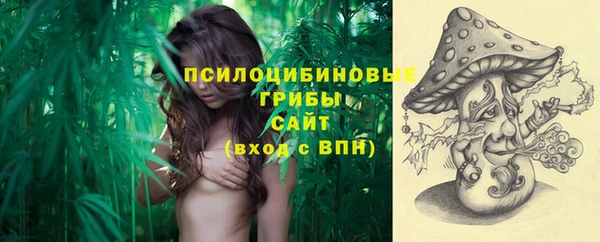 сатива Алексин